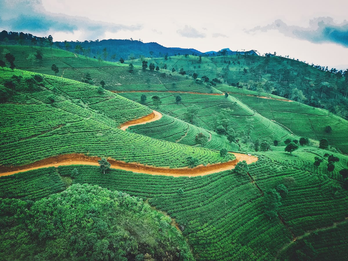 A red-earth road winding through Sri Lankan hill country