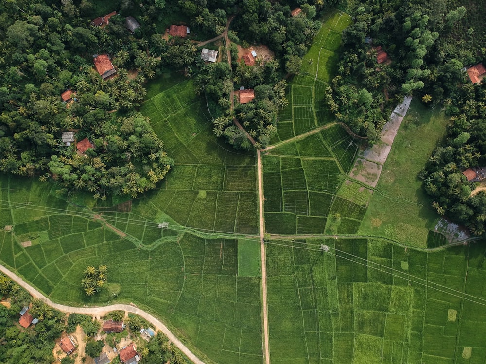 Sri Lankan land parcels and paddy fields from above
